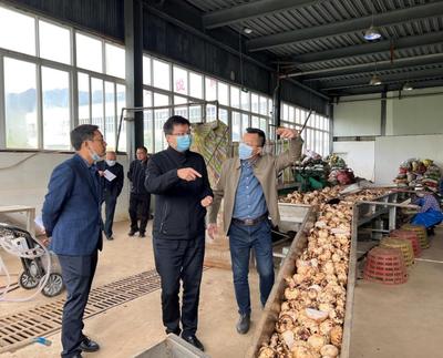 区委组织部调研我区食品加工企业发展情况